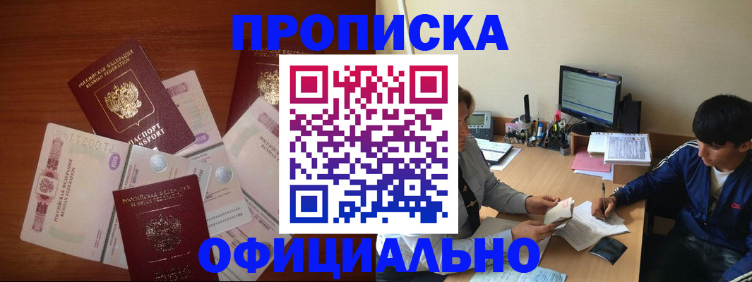прописка поиск в Бердске